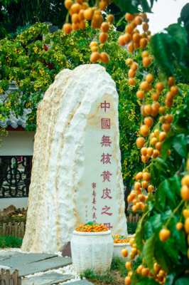 云浮市郁南縣委書記梁世軍:做強優(yōu)勢做精特色,闖出特色農(nóng)業(yè)大縣鄉(xiāng)村振興新路