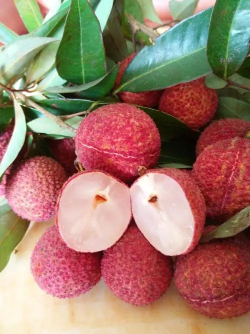 進(jìn)入吃荔枝的季節(jié),想起這位老人